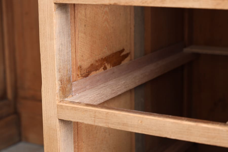 ݰ��Υ���ƥ������ǥ���