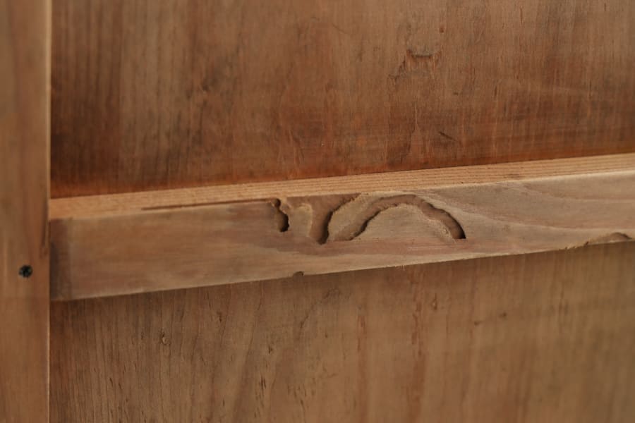 �����Ф�ê