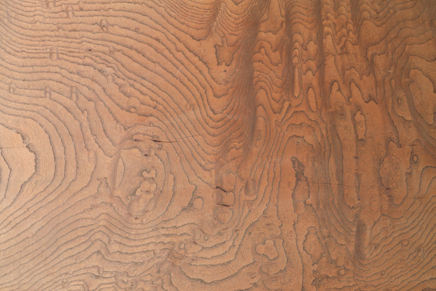 ����ƥ����������ɥơ��֥� ����